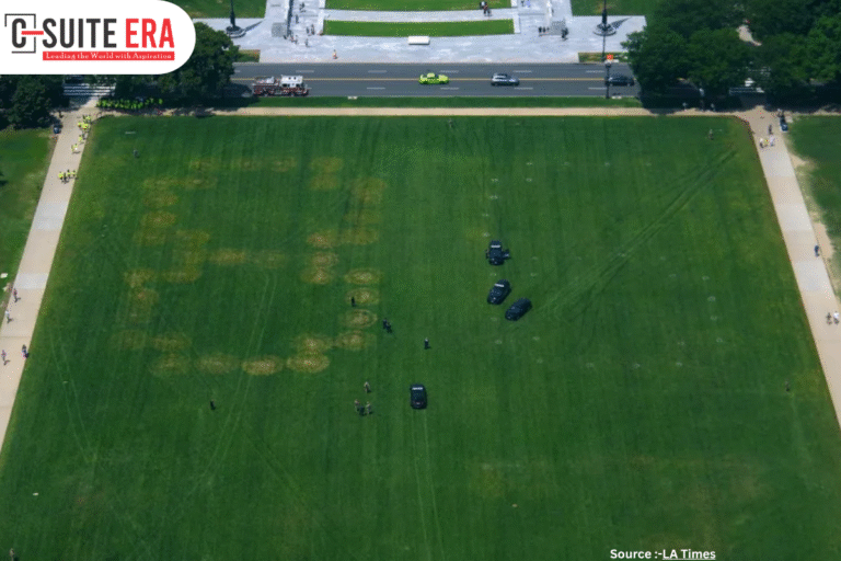 Mysterious ‘8647’ Marking on National Mall Triggers Federal Investigation and Political Debate