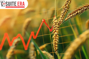 Higher Costs as Russia-Ukraine War Disrupts Black Sea Supplies | C Suite Era